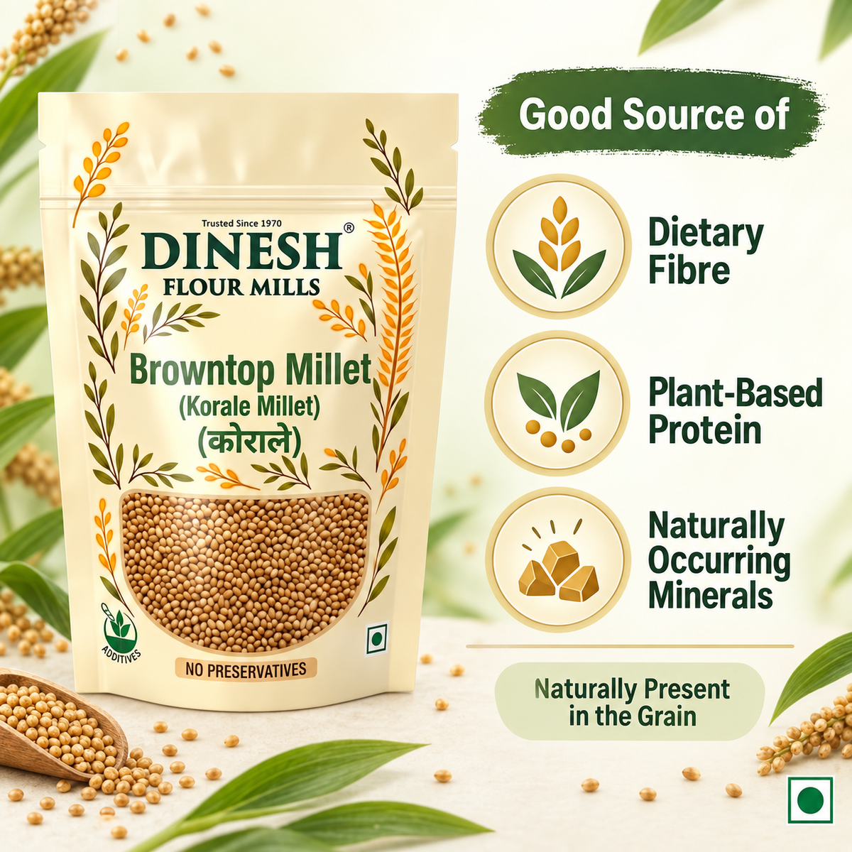 Browntop Millet (Korale Millet) | Raw Whole Grain | No Preservatives