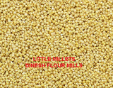Buy Little Millet Grain Seeds