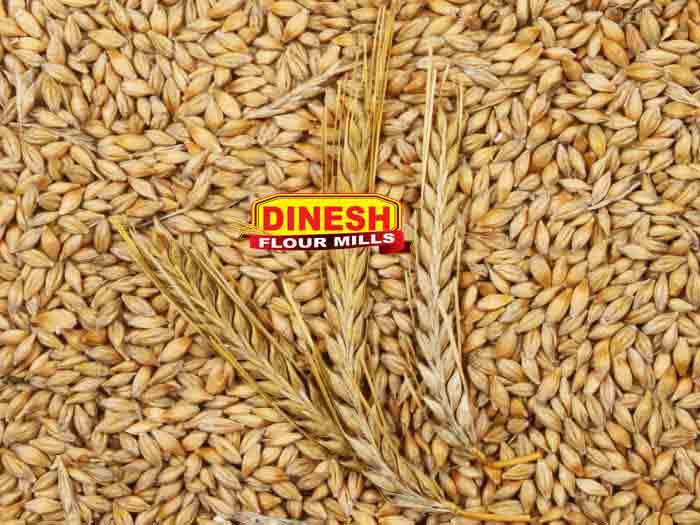 Barley - Jou
