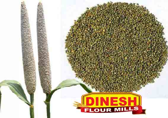 MIX BAJRA ( MILLET )  (For Birds Feeding Only )