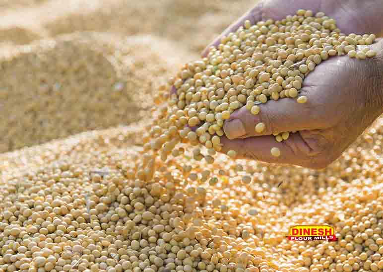 Soyabean Dal/Grains