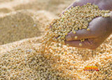 Soyabean Dal/Grains